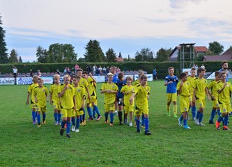 Dinamo slavio u Vukovini