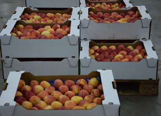 ULO-hladnjača pred završetkom: Domaće voće stiže u školske kuhinje