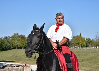Kurilovec: Kravat pukovnija predstavila prve konje vojne dresure