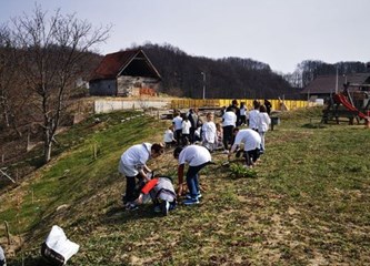 FOTO: Nova stabalca krase Bukovčak, zasadili ih školarci iz Dubranca