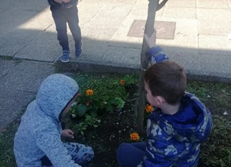 FOTO: Mališani u vrtićima zasadili cvijeće za zdravlje i ljepotu okoliša