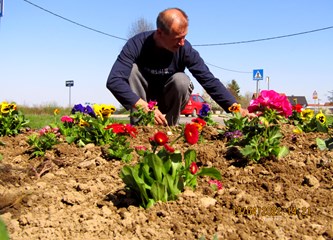 FOTO Kosnica je procvjetala: Vrijedne ruke mještana obogatile naselje s 200 sadnica cvijeća
