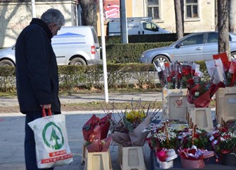 Crvene ruže i prvi vjesnici proljeća u valentinovskoj ponudi na Tržnom centru