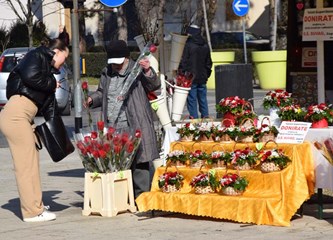 Crvene ruže i prvi vjesnici proljeća u valentinovskoj ponudi na Tržnom centru
