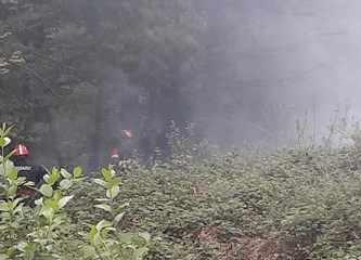 Vatrogasci gasili požar šume u Šestak Brdu, jak vjetar srušio drvo na dalekovod