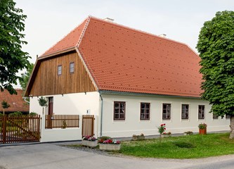 Prijateljstvo Caritasa Zagrebačke nadbiskupije i KUD-a “Čiče”: Djeca, majke i zaposlenice Kuće ljubavi posjetili Etno naselje