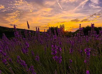 "Photo Zagreb County": U Galeriji Trumbetaš otvorena izložba fotografija naše županije, dodijeljene nagrade najboljima