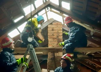 DVD Velika Buna - Razigrani 70-godišnjak koji želi na Olimpijadu