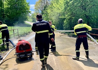 DVD Velika Buna - Razigrani 70-godišnjak koji želi na Olimpijadu