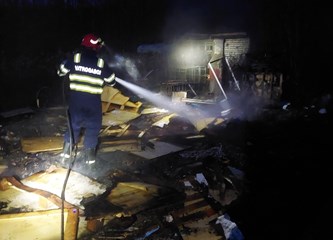 DVD Velika Buna - Razigrani 70-godišnjak koji želi na Olimpijadu