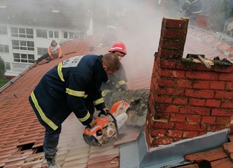 DVD Velika Buna - Razigrani 70-godišnjak koji želi na Olimpijadu