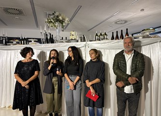 Ovogodišnje OGLEDE ponudile nužan balans na kulturnoj sceni Velike Gorice