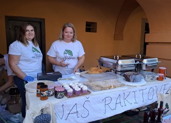 FOTO: Velikogoričani u velikom broju posjetili Dječji Gastro Turopolja i uživali u domaćim delicijama