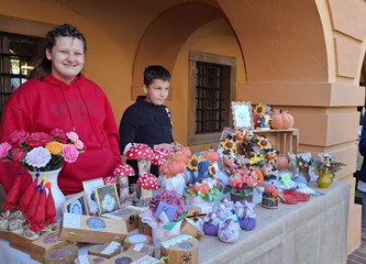 FOTO: Velikogoričani u velikom broju posjetili Dječji Gastro Turopolja i uživali u domaćim delicijama