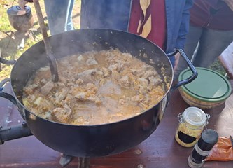 Izviđači iz cijele Hrvatske sudjeluju na 13. Memorijalu u spomen na Tihomira Tomašića – Tihicu