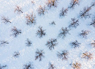 Prizori snijegom pokrivene i suncem okupane Plešivice oduzimaju dah, majstorski ih zabilježio velikogorički fotograf Josip Škof