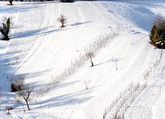 Prizori snijegom pokrivene i suncem okupane Plešivice oduzimaju dah, majstorski ih zabilježio velikogorički fotograf Josip Škof