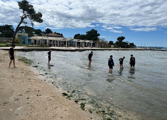 Spremni za veliko finale i povijesni uspjeh goričke odbojke: Najmlađi kadeti OK Gorica bore se u Zadru za naslov prvaka Hrvatske!