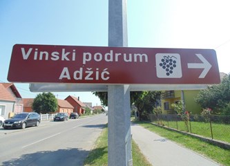 FOTO Grozdovci u Kutjevu: Prvo studijsko putovanje u poznatim podrumima uz degustaciju vrhunske kapljice