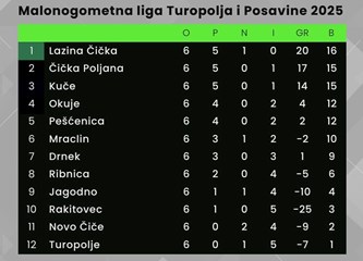 Lazinci vas zovu na feštu: Jeste li za odojak, janjetinu, gulaš i odlične malonogometne okršaje Turopoljsko-posavske lige