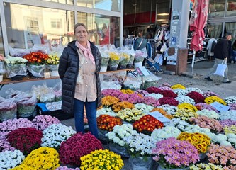 Počela prigodna prodaja aranžmana za blagdan Svih svetih: Najljepše cvijeće naći ćete kod domaćih proizvođača, uzgojeno ljubavlju i trudom!