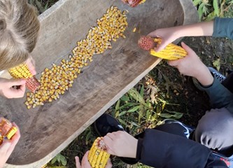 Edukativne radionice u Etno naselju Novo Čiče: Mjesto gdje djeca uče, istražuju i stvaraju uspomene za cijeli život