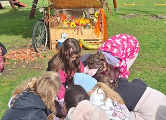 Edukativne radionice u Etno naselju Novo Čiče: Mjesto gdje djeca uče, istražuju i stvaraju uspomene za cijeli život