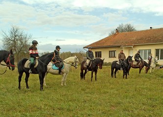 Vlasnici konja i jahači okupili se u Čičkoj Poljani