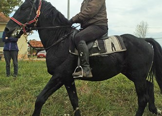 Vlasnici konja i jahači okupili se u Čičkoj Poljani