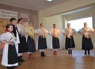 FOTO: Petrovo u Šiljakovini proslavljeno uz 23. Folklorne susrete, misu, mali nogomet...