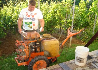 FOTO: Jaka tuča poharala vinograde Vukomeričkih gorica, uništeno i do 30 posto uroda