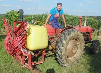 FOTO: Jaka tuča poharala vinograde Vukomeričkih gorica, uništeno i do 30 posto uroda