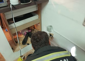FOTO Nježna strana goričkih vatrogasaca: Iz zida izvukli nemoćnog mačića, opravdano ga nazvali Srećko