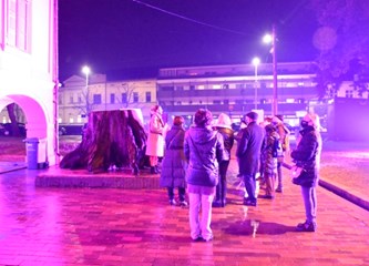 Drugačija Noć muzeja: Građani uživali u virtualnoj šetnji starom Goricom, ali i obišli stalan postav Muzeja Turopolja
