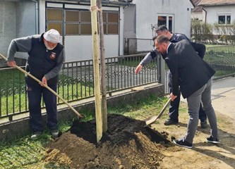 Ukrašavanje naselja: U Novom Čiču posadili 1400 maćuhica, u Mraclinu drvored japanske trešnje