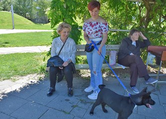 Djeca, mladi, odrasli, pa i psi - svi obožavaju Tuđmanac, no žele još parkova i zelenila u Velikoj Gorici