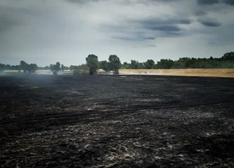FOTO Gorički vatrogasci u Kosnici gasili veliki požar razmjera 100.000 kvadrata, posao im otežavao jak vjetar