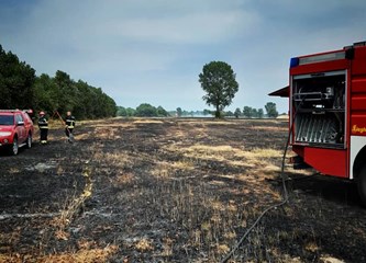 FOTO Gorički vatrogasci u Kosnici gasili veliki požar razmjera 100.000 kvadrata, posao im otežavao jak vjetar
