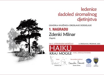Zdenki Mlinar 1. mjesto na međunarodnom haiku natječaju, treći put i među TOP 100 najkreativnijih autora u Europi
