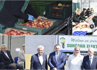 Zahvaljujući solarnoj energiji u Distributivnom centru za voće i povrće u Rakitovcu smanjili potrošnju električne energije za 50 posto