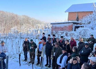 Vincekovo: Rezidbom prvog trseka svečano počela vinogradarska godina