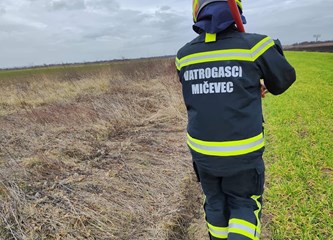 Mičevec: U požaru izgorjelo 5 hektara trave i niskog raslinja