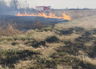 Mičevec: U požaru izgorjelo 5 hektara trave i niskog raslinja