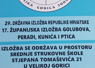 Ovog vikenda posjetite izložbu golubova, peradi, kunića i ptica
