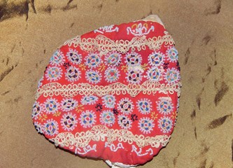 Simbol Turopolja pred fotoobjektivom: Nastalo već 500 fotografija poculica, najstarije datiraju iz 19 stoljeća! Sprema se izložba