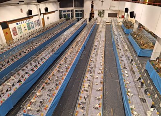 FOTO Turopoljci Jurek i Katica, Posavska kukmasta kokica i još 700 golubova, kunići i ptice čekaju vas na velikoj izložbi