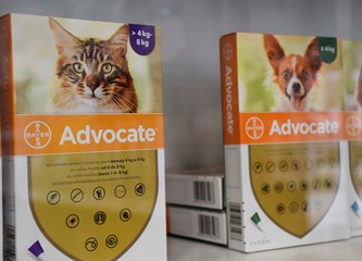 Rostrum Plus: Gorički veterinar otvorio ljekarnu u koju osim po hranu i preparate možete uvijek doći i po savjet za vaše kućne ljubimce